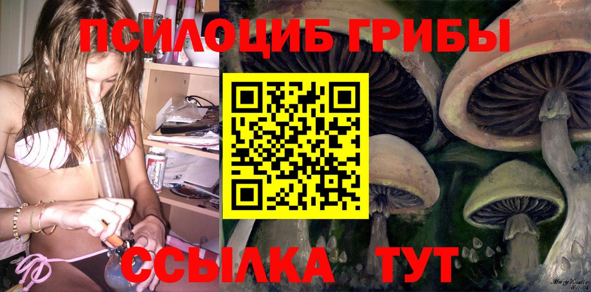 Галлюциногенные грибы MAGIC MUSHROOMS Оренбург
