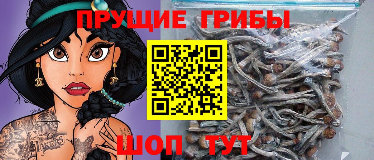 Галлюциногенные грибы Psilocybe  купить наркотик  Вход с VPN  Оренбург  Псилоцибиновые грибы MAGIC MUSHROOMS 